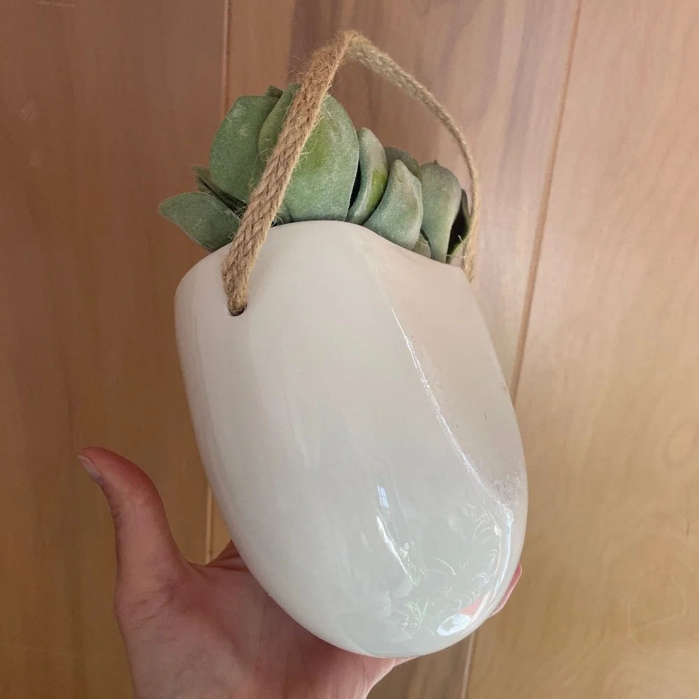 Faux succulents wall hanging plant white gloss ceramic vase